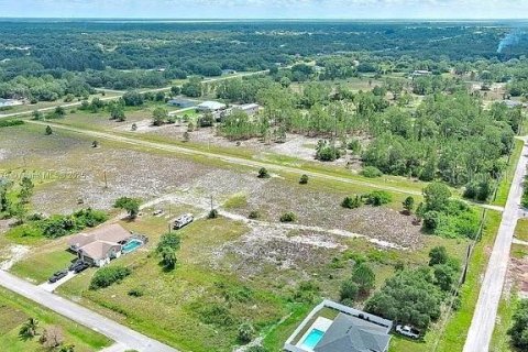 Land in Lehigh Acres, Florida № 2164349 - photo 11