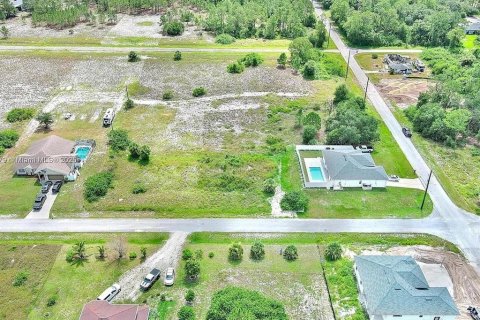Land in Lehigh Acres, Florida № 2164349 - photo 10