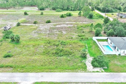 Land in Lehigh Acres, Florida № 2164349 - photo 6