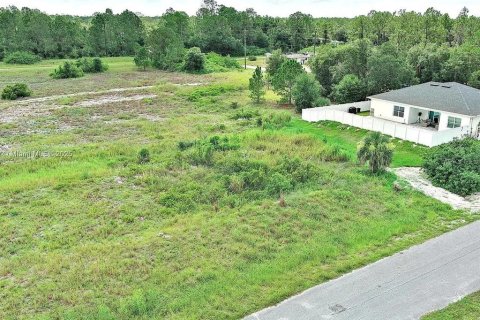 Land in Lehigh Acres, Florida № 2164349 - photo 3
