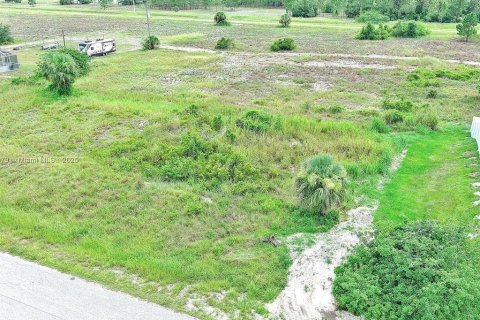 Land in Lehigh Acres, Florida № 2164349 - photo 5