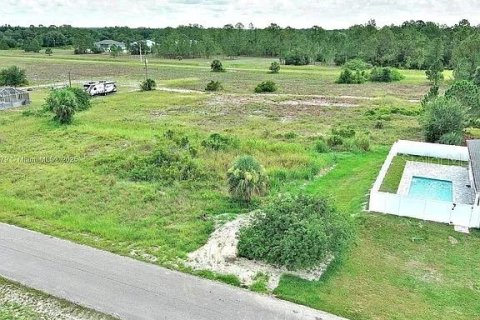 Land in Lehigh Acres, Florida № 2164349 - photo 2