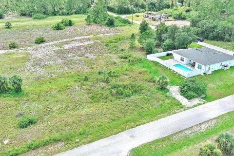 Land in Lehigh Acres, Florida № 2164349 - photo 8