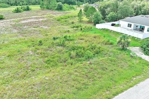 Land in Lehigh Acres, Florida № 2164349 - photo 4