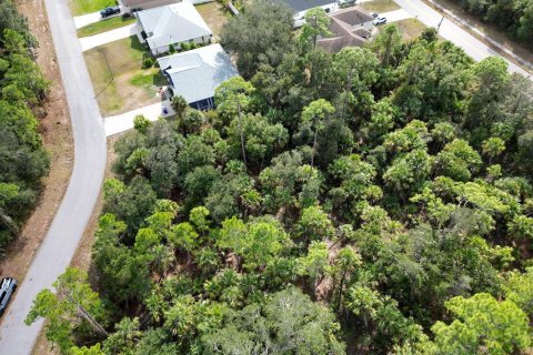 Land in North Port, Florida № 2160012 - photo 3