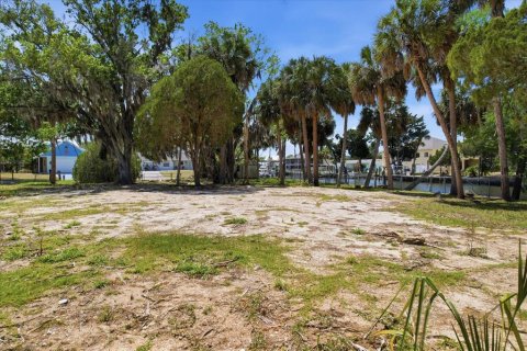 Terrain à vendre à Crystal River, Floride № 2102714 - photo 4