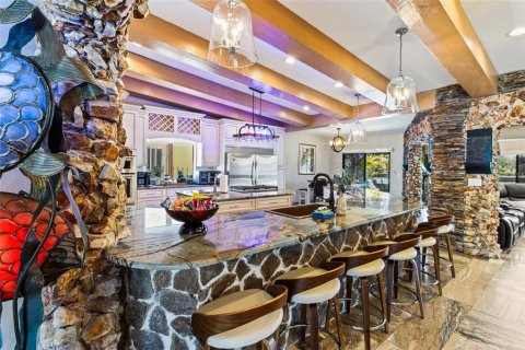 Villa ou maison à vendre à Indian Rocks Beach, Floride: 3 chambres, 227.05 m2 № 2155890 - photo 9