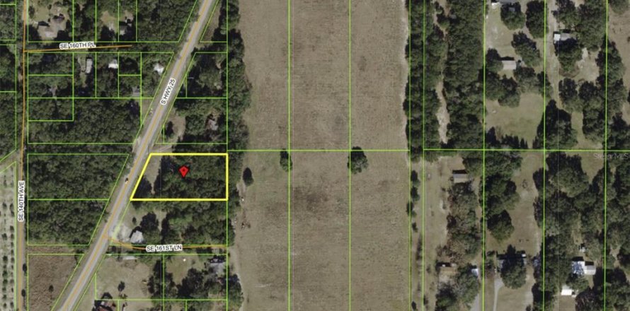 Terreno en Weirsdale, Florida № 2103616