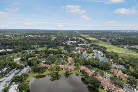 Condo in Oldsmar, Florida, 2 bedrooms  № 2395850 - photo 24