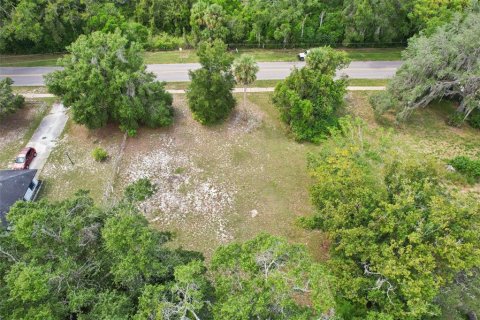 Land in Eustis, Florida № 2233884