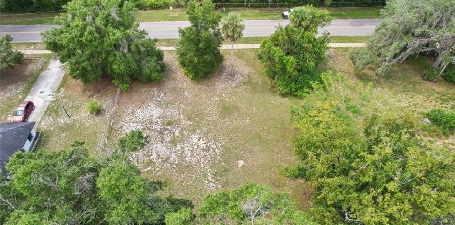 Terrain à Eustis, Floride № 2233884