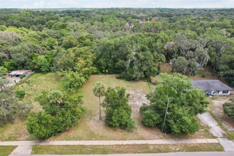 Terrain à vendre à Eustis, Floride № 2233884 - photo 6