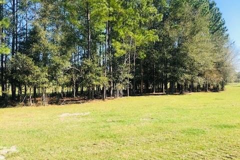 Terreno en venta en Morriston, Florida № 1570811 - foto 3