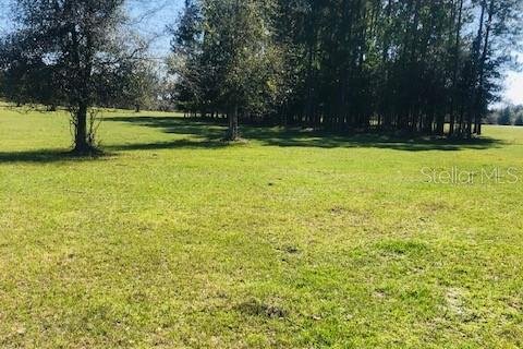 Terreno en venta en Morriston, Florida № 1570811 - foto 4