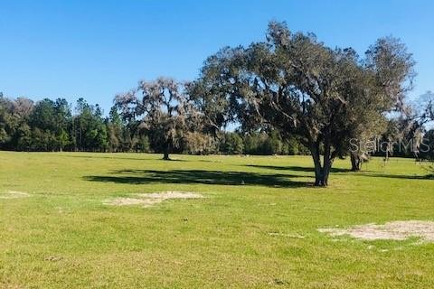 Terreno en venta en Morriston, Florida № 1570811 - foto 1