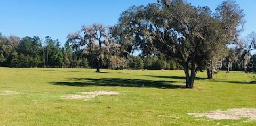 Terreno en Morriston, Florida № 1570811