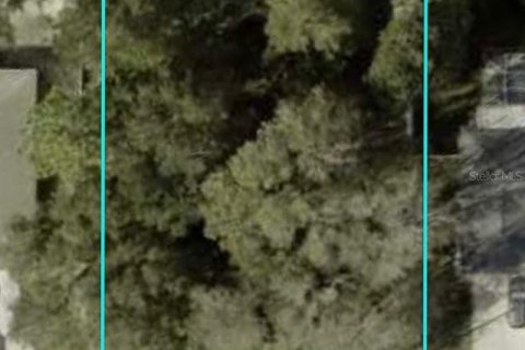 Land in Palm Coast, Florida № 1553719 - photo 2