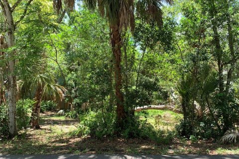 Land in Tarpon Springs, Florida № 1248272 - photo 1