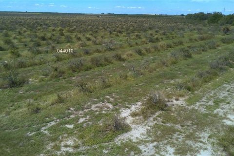 Land in Frostproof, Florida № 2291438 - photo 12