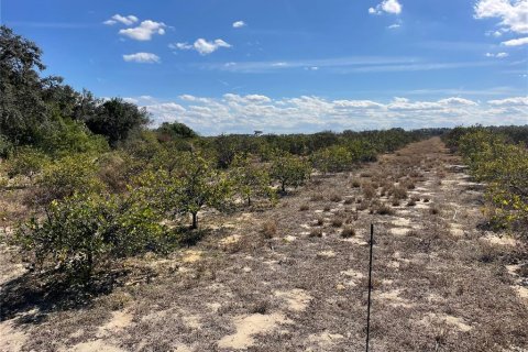 Land in Frostproof, Florida № 2291438 - photo 3