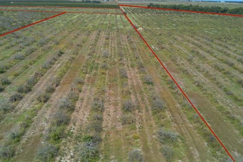 Land in Frostproof, Florida № 2291438 - photo 18