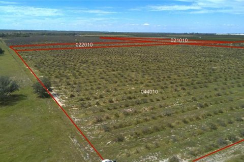 Land in Frostproof, Florida № 2291438 - photo 15