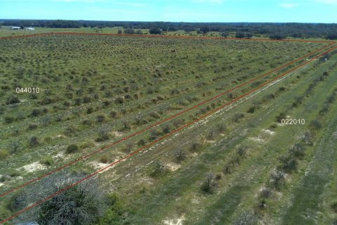 Land in Frostproof, Florida № 2291438 - photo 9