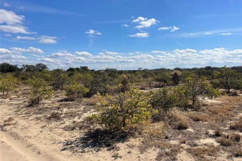 Land in Frostproof, Florida № 2291438