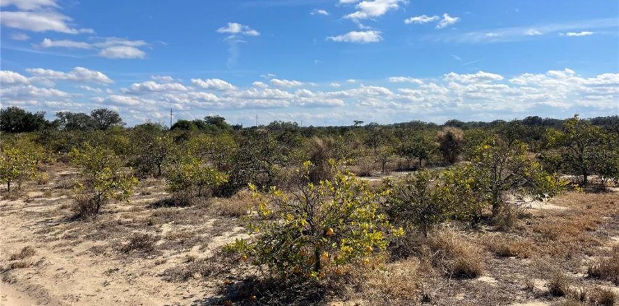 Land in Frostproof, Florida № 2291438