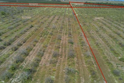 Land in Frostproof, Florida № 2291438 - photo 19