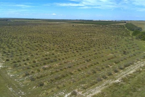 Land in Frostproof, Florida № 2291438 - photo 14