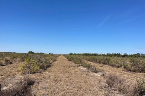 Land in Frostproof, Florida № 2291438 - photo 2
