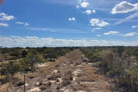 Land in Frostproof, Florida № 2291438 - photo 4