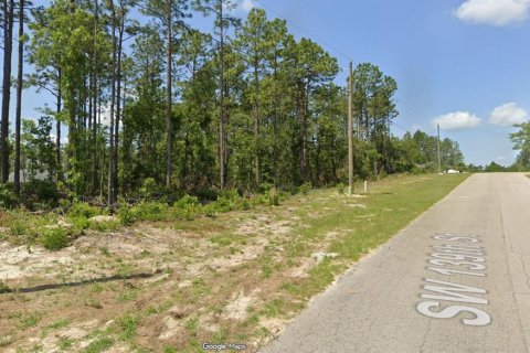 Land in Ocala, Florida № 2160428 - photo 3
