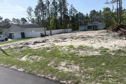 Land in Ocala, Florida № 2160428