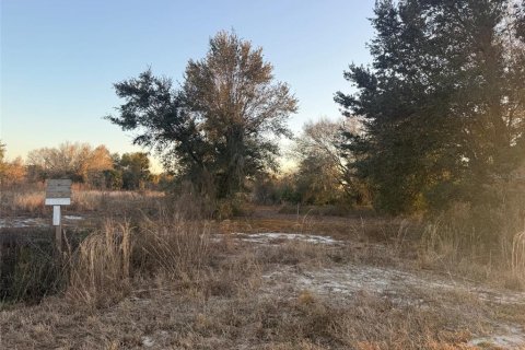 Land in Okeechobee, Florida № 2161005 - photo 8