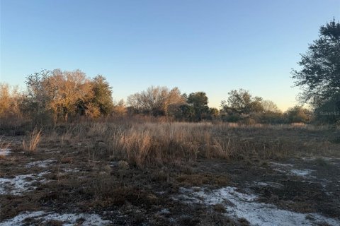 Land in Okeechobee, Florida № 2161005
