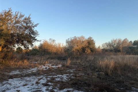Land in Okeechobee, Florida № 2161005 - photo 4