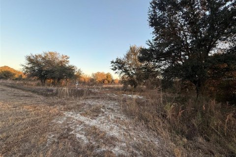 Land in Okeechobee, Florida № 2161005 - photo 3
