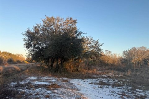 Land in Okeechobee, Florida № 2161005 - photo 5