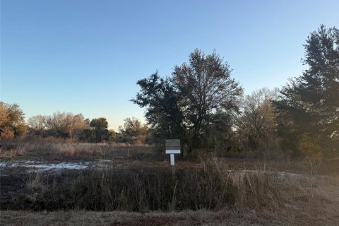 Land in Okeechobee, Florida № 2161005 - photo 9