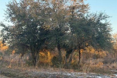 Land in Okeechobee, Florida № 2161005 - photo 2