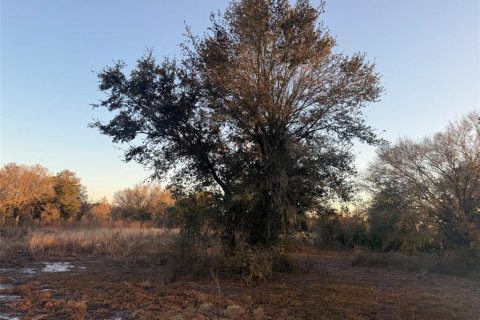 Land in Okeechobee, Florida № 2161005 - photo 6