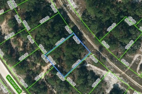 Land in Lake Placid, Florida № 2223973