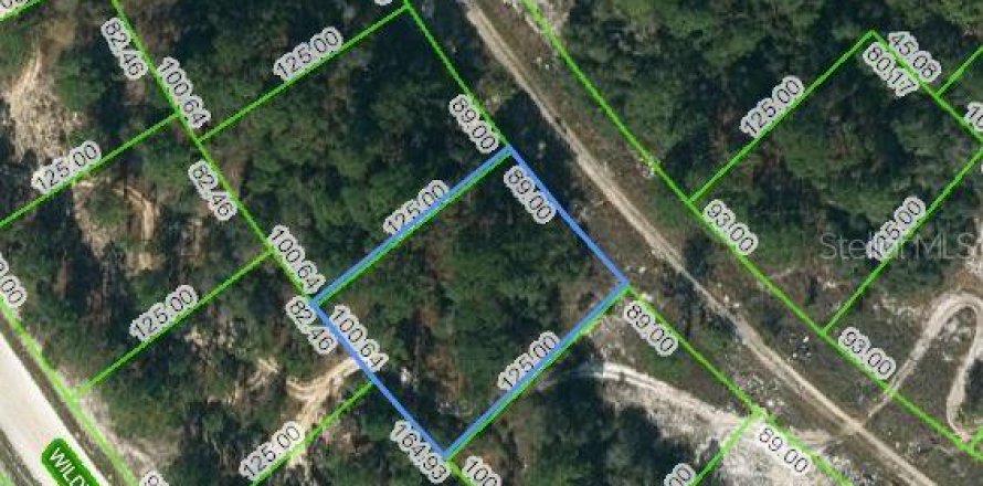 Land in Lake Placid, Florida № 2223973