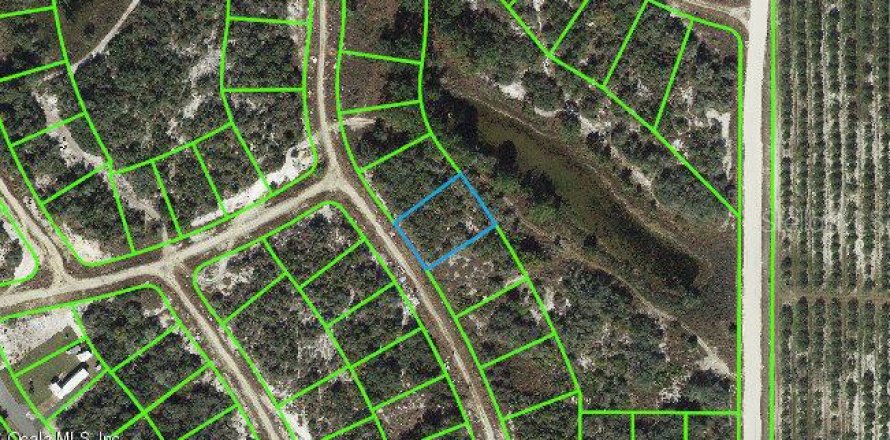 Land in Lake Placid, Florida № 2161871