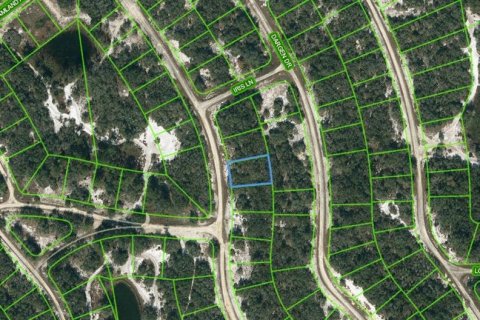 Land in Lake Placid, Florida № 2236233