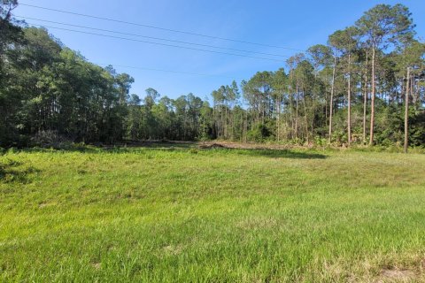 Land in Georgetown, Florida № 767422 - photo 1