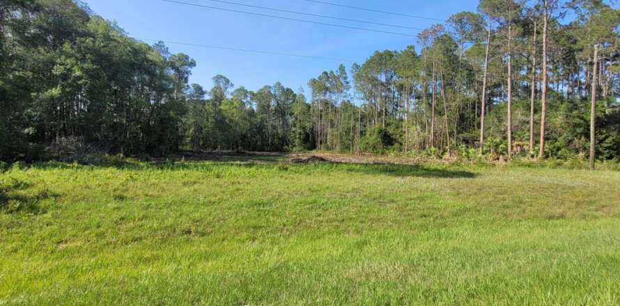 Land in Georgetown, Florida № 767422