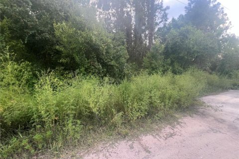 Terreno en venta en Eustis, Florida № 1908231 - foto 3